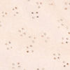 Exquisite Cream Ensemble Sherwani
